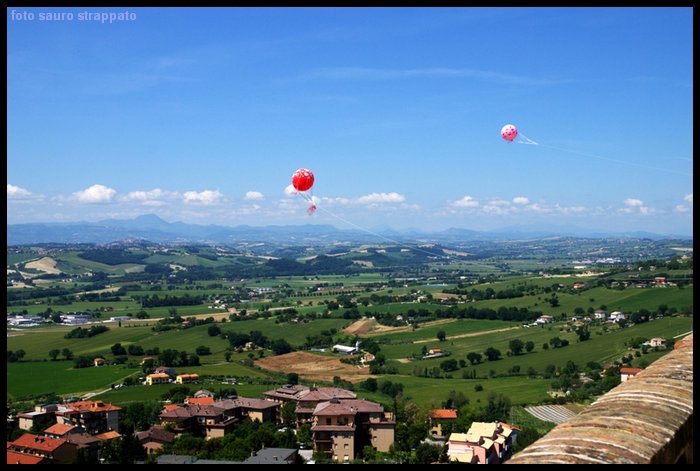 Maggio chiamo 20100523_071.jpg