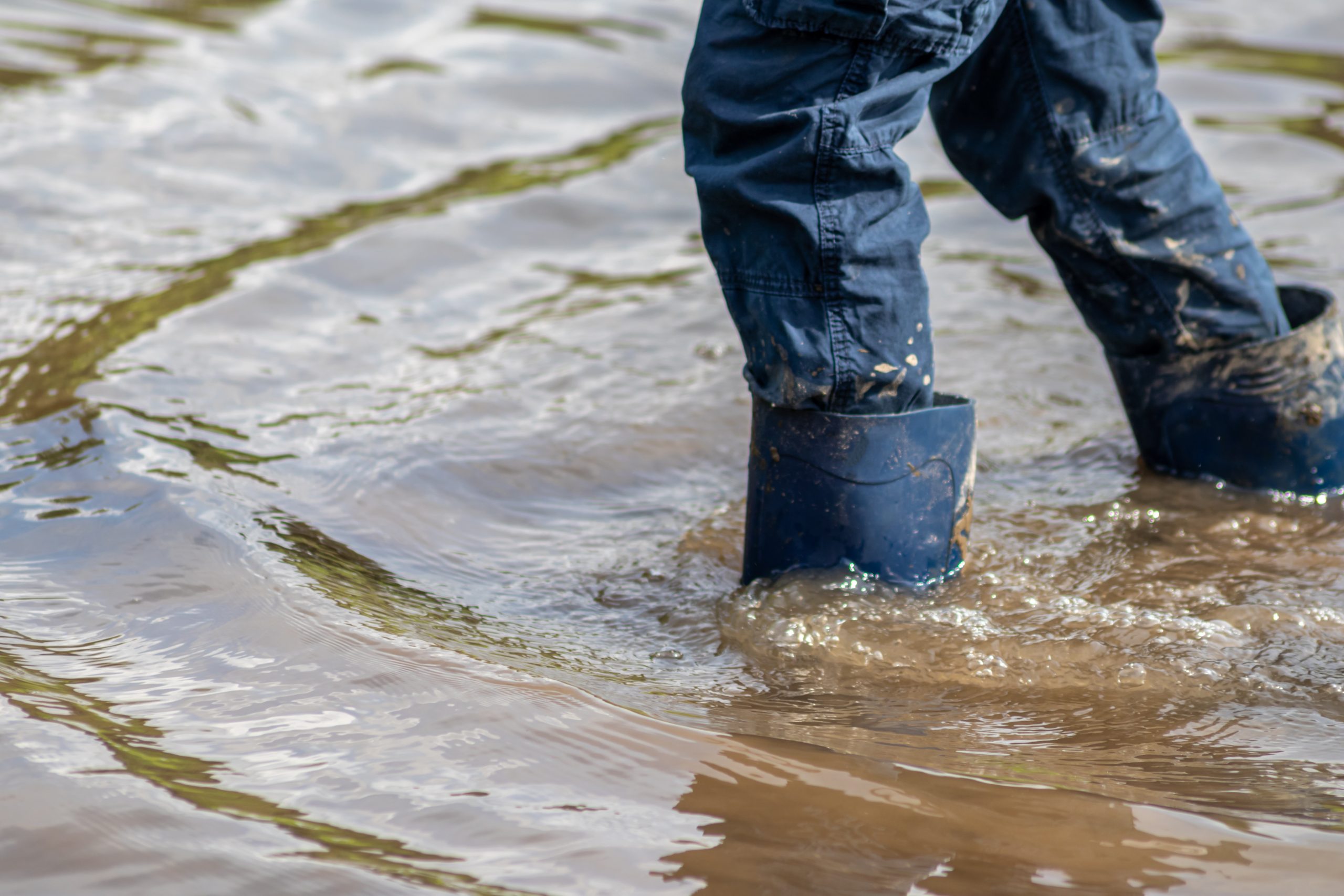 Al momento stai visualizzando COMUNICATO STAMPA: CONTRIBUTI PER ALLUVIONE 2024 – scade 20 gennaio